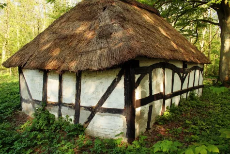 IZOL DACH JANUSZ GLEBA, Strzecha