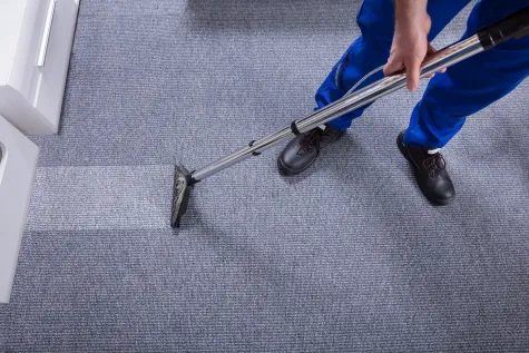 PRZEDSIĘBIORSTWO PRODUKCYJNO HANDLOWO USŁUGOWE ART CLEAN SP Z O O, Sprzątanie